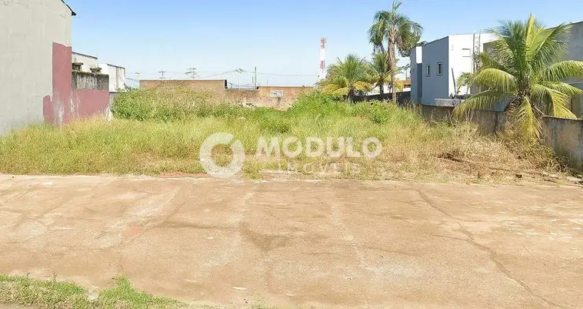 Terreno à venda na Rua Duque de Caxias, --, Vigilato Pereira, Uberlândia