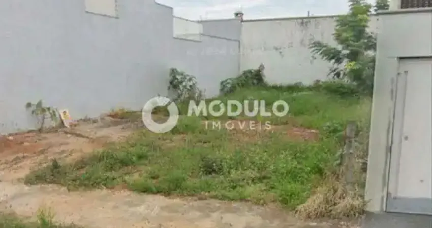 Terreno à venda na Rua Maria Cristina Rodrigues, --, Alto Umuarama, Uberlândia