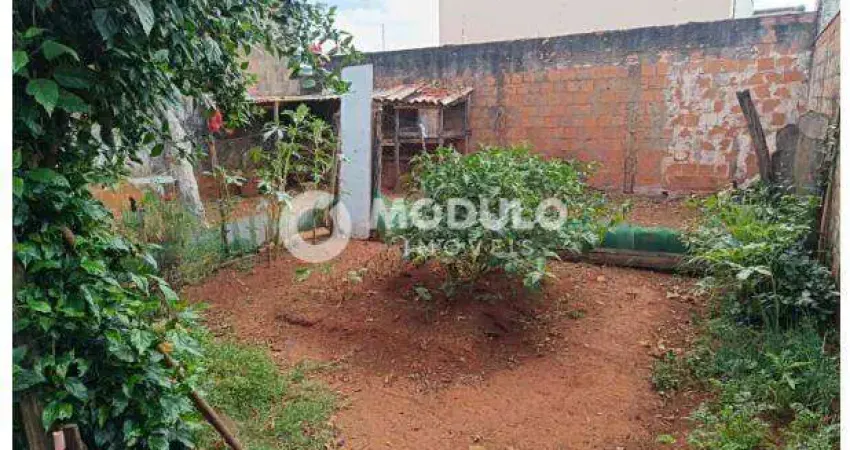 Casa residencial à venda, 3 quartos, 2 vagas, segismundo pereira - uberlândia/mg