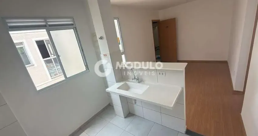 Apartamento à venda, 2 quartos, 1 vaga, jardim patricia - uberlândia/mg