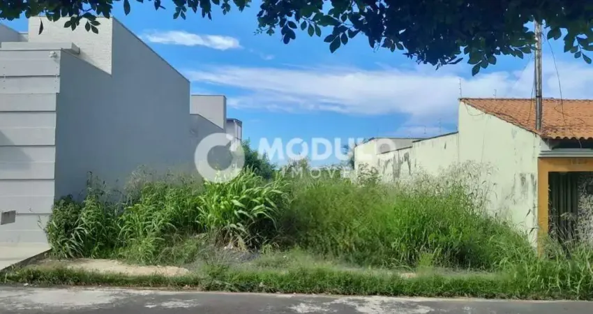 Terreno à venda na Rua Ciro de Castro Almeida, --, Custódio Pereira, Uberlândia