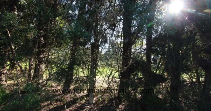 Terreno à venda no Chácaras Cataguá, Taubaté 
