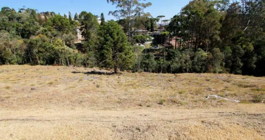 Terreno à venda no Colinas Capivari, Campos do Jordão 