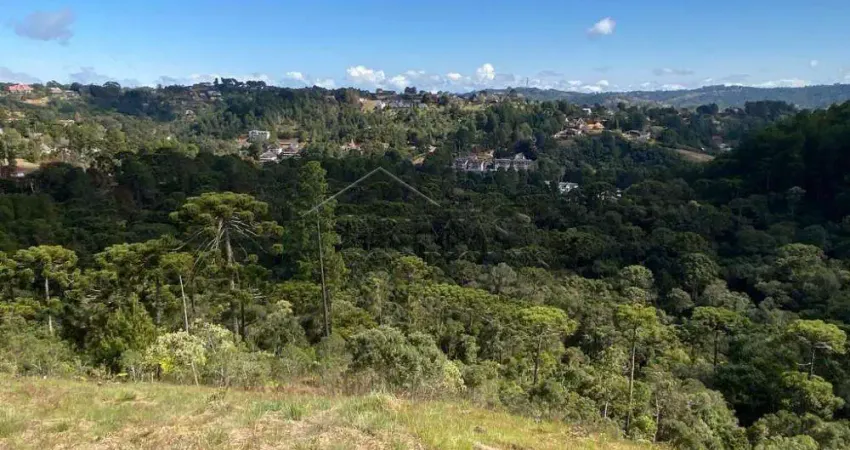 Terreno em condomínio fechado à venda no Colinas Capivari, Campos do Jordão 