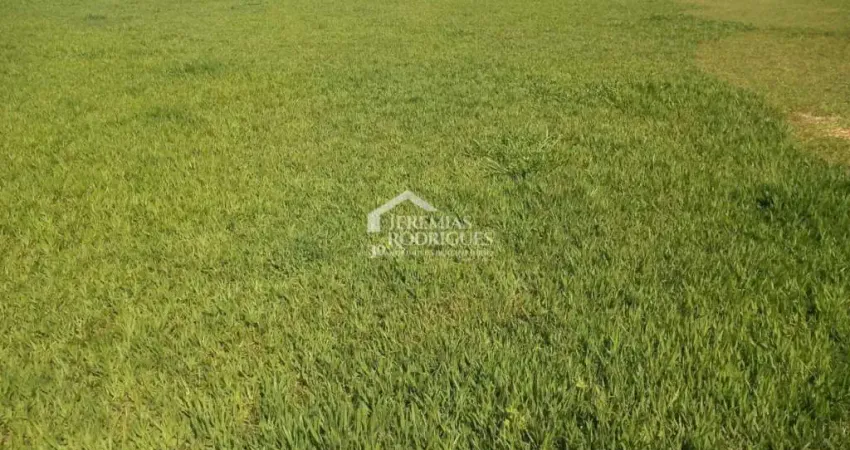 Terreno com 1.200 m² - Condomínio Village Paineiras - Pindamonhangaba/SP.