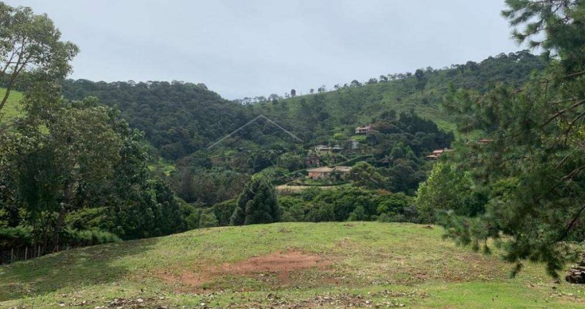 Terreno à venda no Sertãozinho, Santo Antônio do Pinhal 