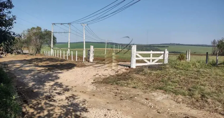 Fazenda à venda na BR  376, Colônia Dona LuÍza, Ponta Grossa