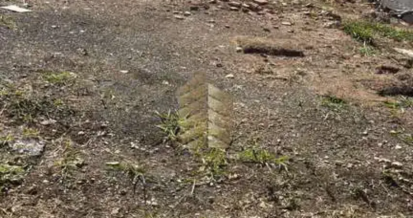 Condomínio residencial bosque mistral - terreno no condomínio bosque mistral