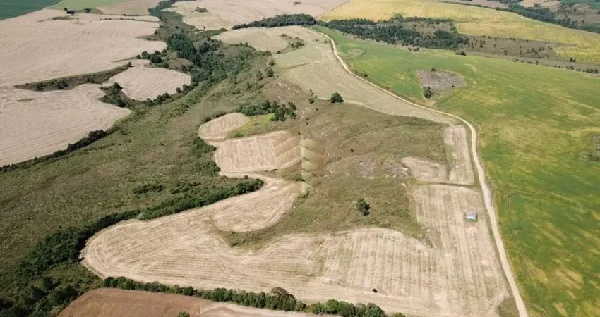 Fazenda à venda no Centro, Palmeira