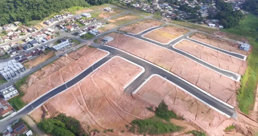 Lotes Urbanizados em Três Rios do Norte – Prontos para Construir!
