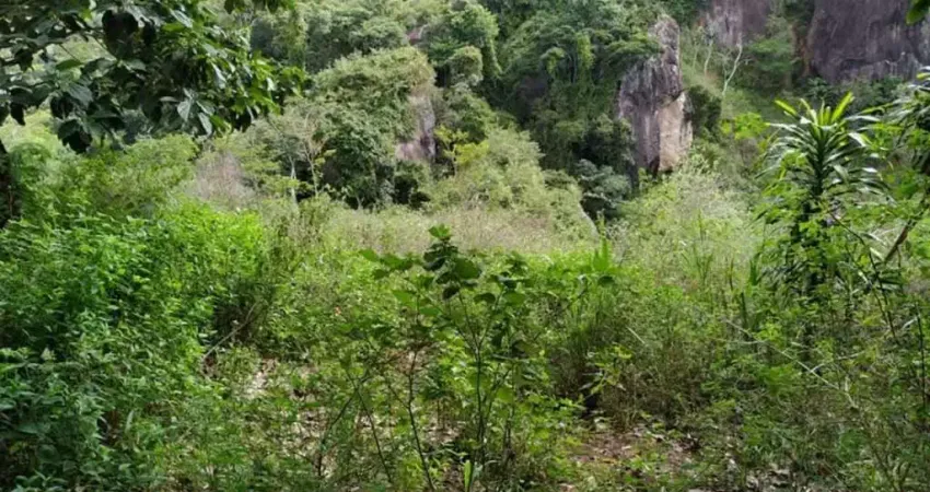 Terreno à venda na Rua Miosótis, s/n, Santo Antônio, Serra