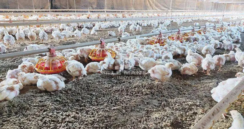 Sítio - granja à venda, com 54691 m² ,por r$ 3.600.000 - piracicaba/sp