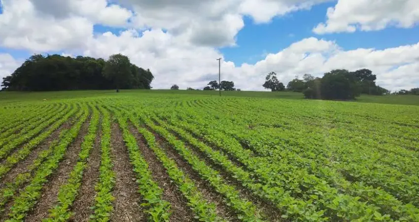 EXCELENTE SÍTIO A VENDA EM ITARARÉ - SP ??   Área Total: 24,61 Alqueires  Área de Plantio: 16 Alqueires   Restante: Reserva e App   Topografia: Semi Plana e Levemente Ondulada   Solo: Misto  Hidrograf