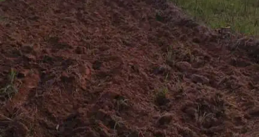 Chácara à venda em Itapetininga-SP, Área Rural: 2 quartos, 2 salas, 1 banheiro, 2 vagas, 200m². Aproveite!