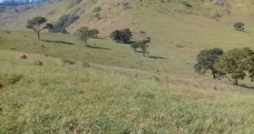 Fazenda 205,50  hectares. Toda formada .  Tem curral em concreto e fio de aço brete balança  Curral para 600 cabeças com 6 divisões.   Fazenda  com du