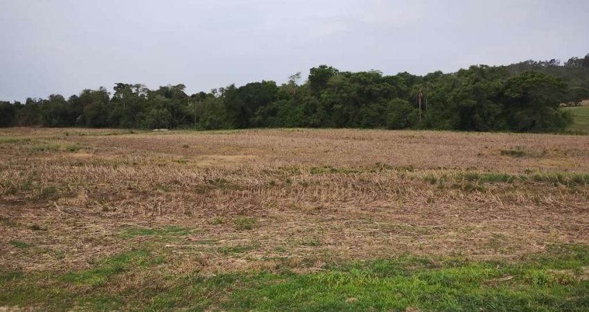 SÍTIO A VENDA EM ANGATUBA-SP   Área Total: 32,91 Hectares ou 13,6 Alqueires   10 Alqueires de Aproveitamento   Terra Mista de Lavoura  Rico em Água, Nascente, Ribeirão e Rio Guareí no Fundos   Boa Top