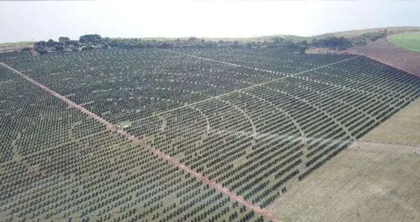 Fazenda de luxo à venda em Cardoso-SP, Zona Rural: 3 quartos, 1 suíte, 3 salas, 2 banheiros, 3 vagas de garagem, 1.583.164,00 m².