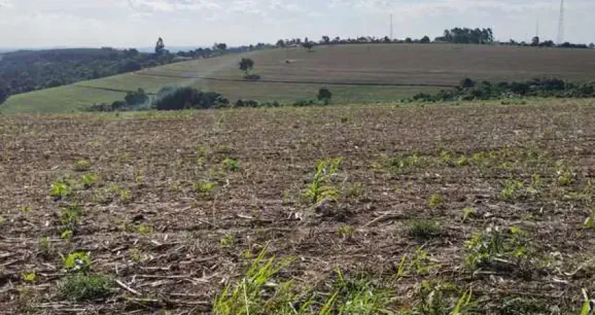 Fazenda 50 Alqueires, 40 Alqueires Plantio, Boa Topografia   Terra Vermelha a Mista   Ribeirão e Açude   Barracão Simples   Ótima Logística e Acesso