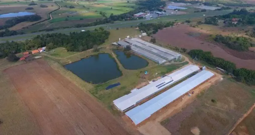 Sitio c/ Granja 8 Alqueires, 6 barracões Modernos sendo 2 Barracões Novo, Granjas Automáticas, 220 mil frangos, Energia Solar e Gerador, Boa de Água