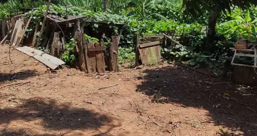 sítio 5 alqueires em casa branca 5 mil pés de café produzindo com divisórias com trator e casa de caseiro e casa para morar 800,000,00 mil 1 km de estrada de chão