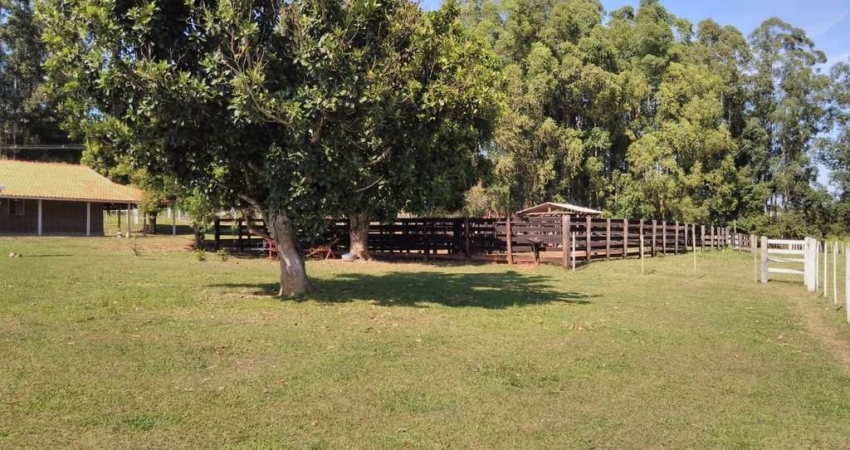 Fazenda 47 Alqueires  90% de Aproveitamento  Terra Mista de Cultura Formada em Pasto   03 nascentes e 2 Represas  Cerca toda nova com arame paraguaio