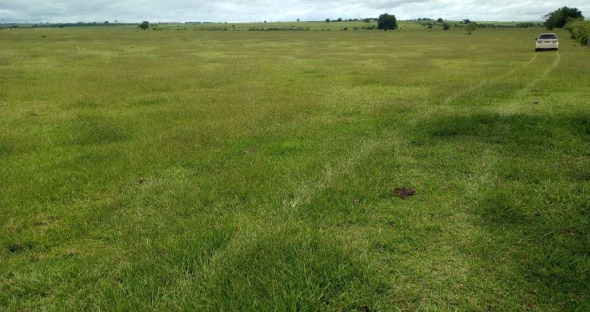 Fazenda 250 Alqueires Área para Plantio de aproximadamente 240 Alqueires   Excelente Aproveitamento   Está em Pasto   Teor de Argila de 18% a 30%  Ric