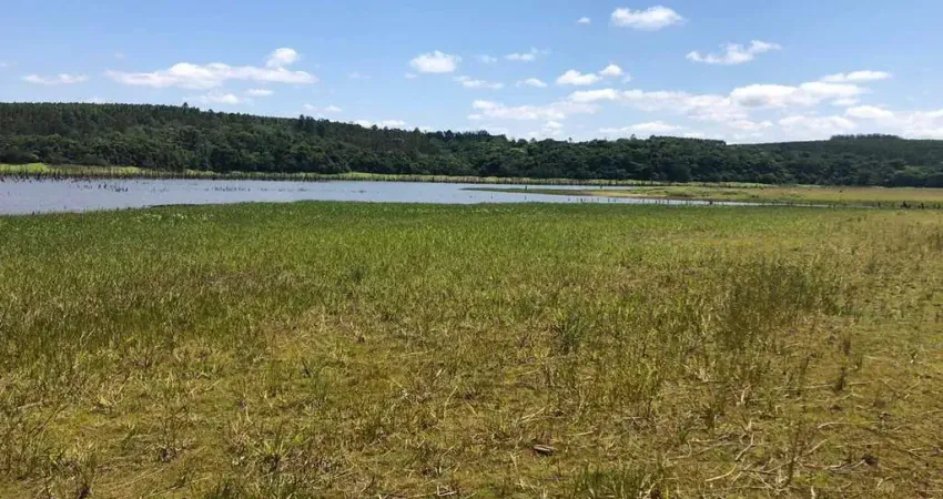 Fazenda Área Total 62 Alqueires   Área em Plantio 49 Alqueires  Topografia Plana  Terra Mista a Argilosa   Rica de Água  Pega o Rio Paranapanema  Argi