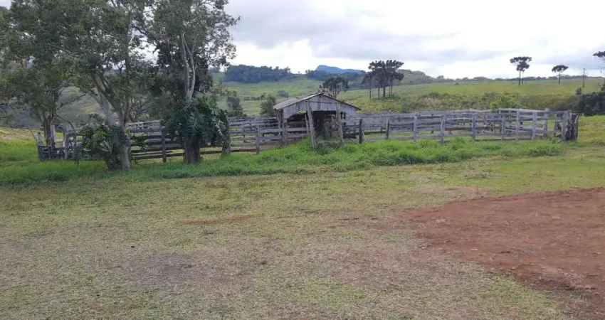 Fazenda 402 Alqueires  - Sendo 140 Alqueires em Plantio de Grãos (Planta mais 40 Alqueires)   - 20% Reserva e App  - Restante todo em Pasto   - Solo