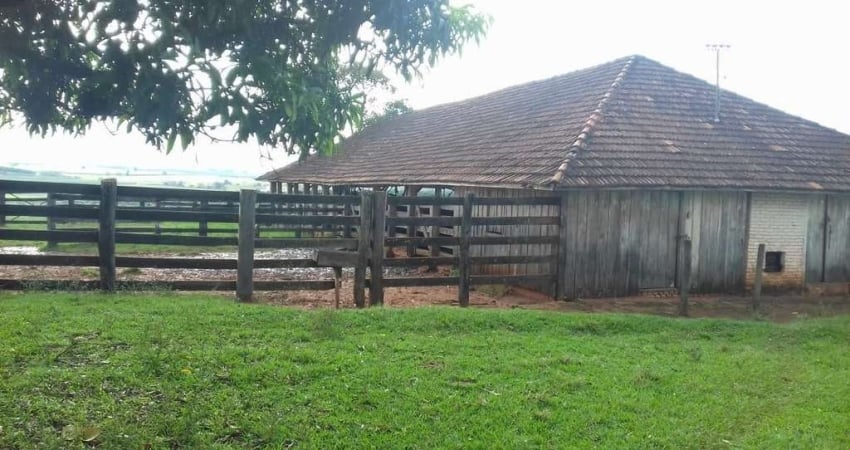 Fazenda 140,5 Alqueires, Topografia Plana, Terra Vermelha, 1Km da Rod Raposo, 50Kms de Presidente Prudente, 50 Alqueires Lavoura Grãos, Rest. Pecuária