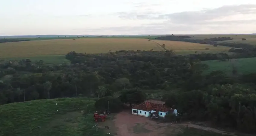 Fazenda 161 Alqueires, 12 Kms de Estrada de Chão, 105 Alqueires Plantado e Falta 35 Alqueires pra Plantar, Pagamento em 3X Entrada+2X