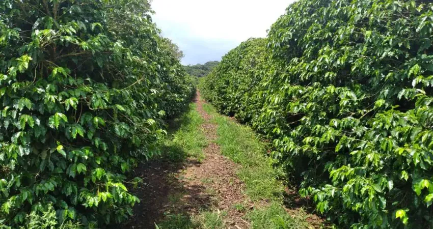 Fazenda 206 Hectares, 110 Mil Pés de Café, Barracão, 2 Secadores, Maquina de Limpar, Casa Sede, Curral, Estábulo, Casa Caseiro, Ótima Localização