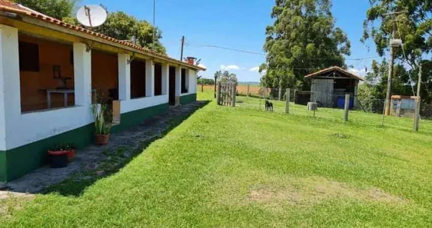 Sítio 10 Alqueires, Acesso Asfaltado, 1 Casa Sede 500m2, 2 Casas Caseiro, 3 Barracões de Granja, 10 Mil pés de Eucalipto, Poços Artesianos