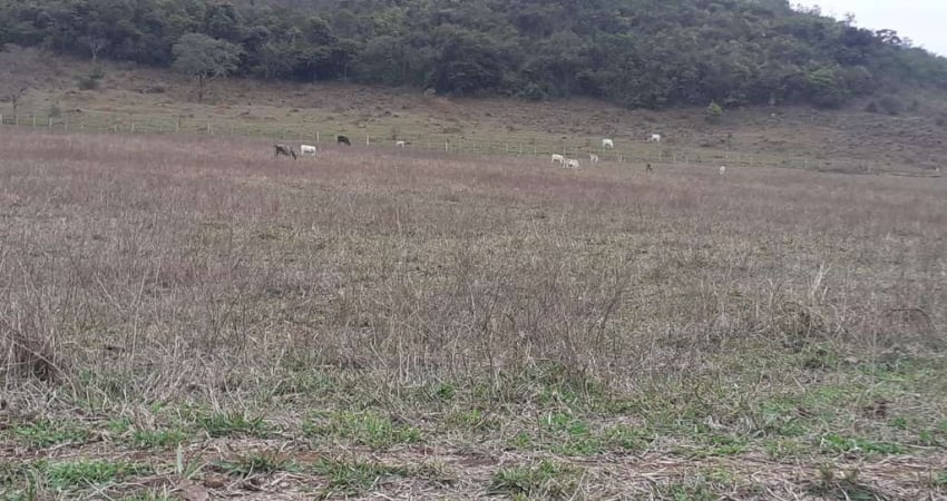 Fazenda 190 Alqueires, Rica em Água com 9 Nascentes, 100 Alqueires em Pasto, 70 Alqueires em Milho ou Soja, Casa Sede e Caseiro, Curral