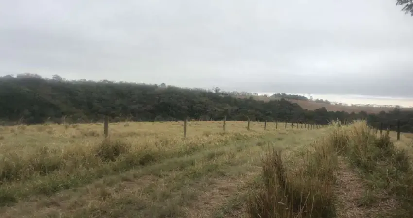 Fazenda 59 Alqueires, Rico em Água com Córrego e Nascentes, Formada em Pasto na Pecuária, Terra Mista, Boa Topografia, Poço Artesiano, 3 Casas