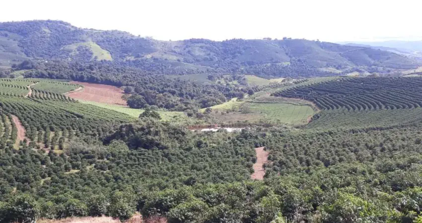 Fazenda 104 Alqueires, 28 Alqueires em Café, 3 Alqueires em Eucalipto, 50 Alqueires em Pastagem, Ótima Infraestrutura, Ótima Localização