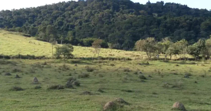 Fazenda 125 Alqueires, Rica em Água com Varias Nascentes, Represa e Rio, Casa Sede, 2 Casas Caseiro, Curral, Rancho, Ótima Localização