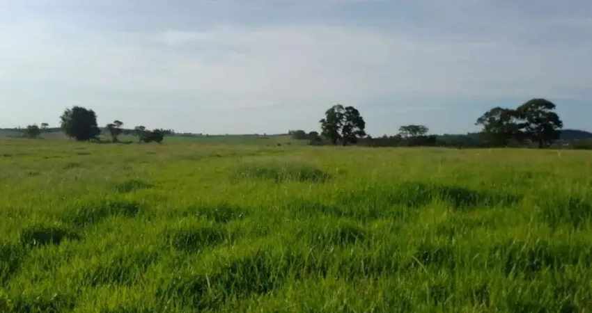 Sítio 16,5 Alqueires, Rico em Água com Corrego, 13 Alqueires em Área Para Plantio, Boa Topografia, Solo Misto, Casa Simples,Balança,Cocheiro,Mangueira