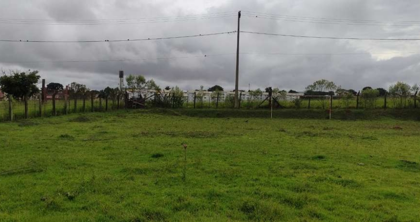 Chácara 11000m2, Área Boa Para Loteamento, Localização Nobre, 500 Metros do Asfalto, Casa Sede, Campo de Futebol, Galpão