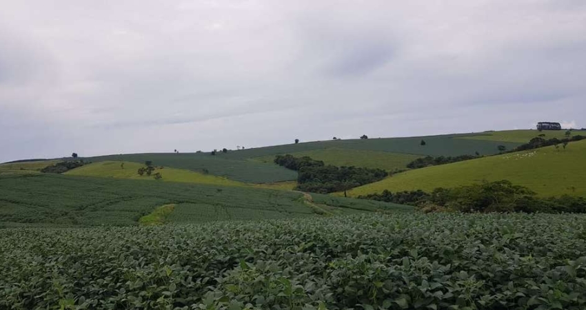 Fazenda 213 Alqueires, Dupla Aptidão, Topografia Plana, Rica em Água com Nascentes, Aproveitamento de 85%, Casa Sede, Casa Caseiro, Curral, Galpão