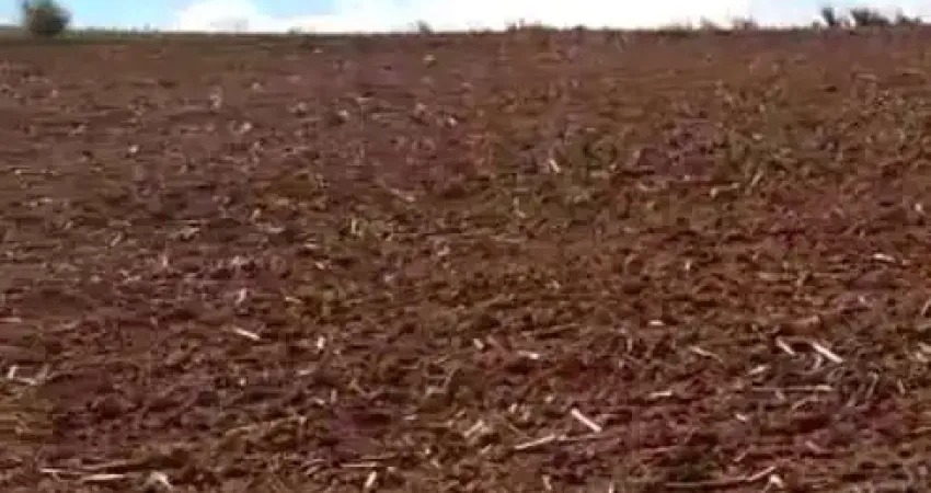 Fazenda 42 Alqueires, Bom de Água, Planta 35 Alqueires, Topografia Plana, Solo de Terra Mista Roxa