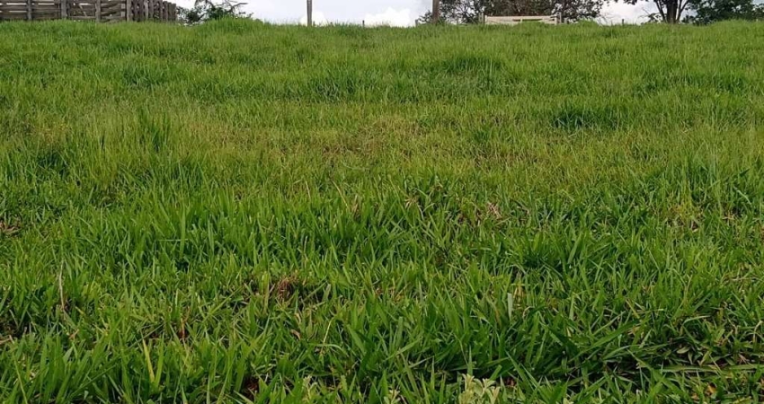 Sítio 5,7 Alqueires Frente Asfalto,Localização Top,Terra Fertil,muito Boa,Ótimo para Plantação,Gado,Granjas