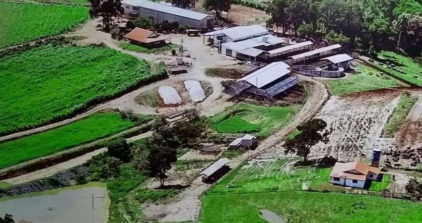 Fazenda Pilar do Sul 55 Alqueires,6 Tratores,2 Vagões Grandes,Plantadeira 4 Linhas,5 Casas,2 Redes Trifasico