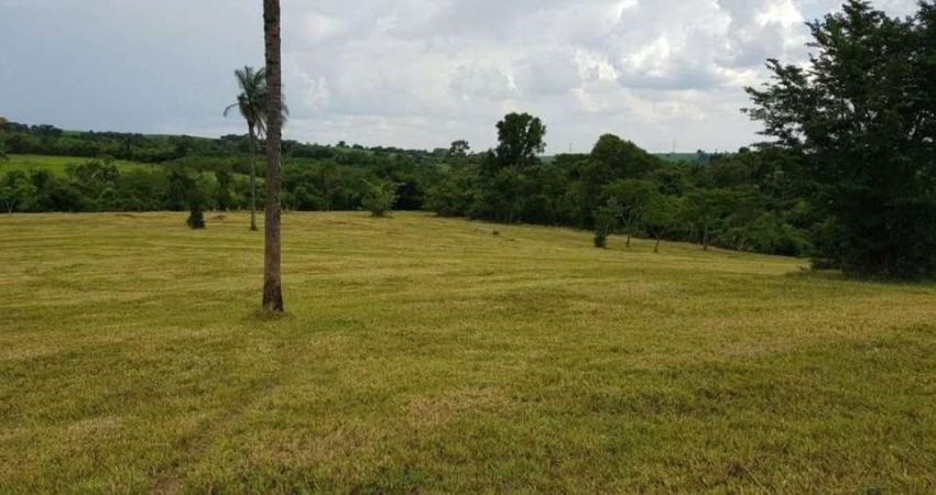 Terreno Estância Árvore da Vida Leve Declive 1500m2