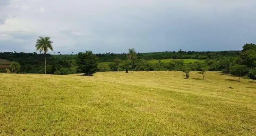 Condomínio Estancia Arvore da Vida Lote 513m2, 27mts Frente e 19mts Laterais