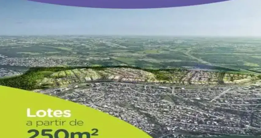 Bela Aliança Loteamento aberto Lotes a Partir de 250m2 Com/Res
