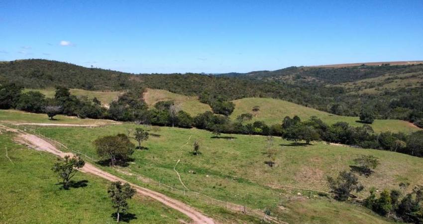 Fazenda à venda em Luziânia-GO: 5 quartos, 2 suítes, 3 salas, 3 banheiros, 5 vagas, 677.600m²!
