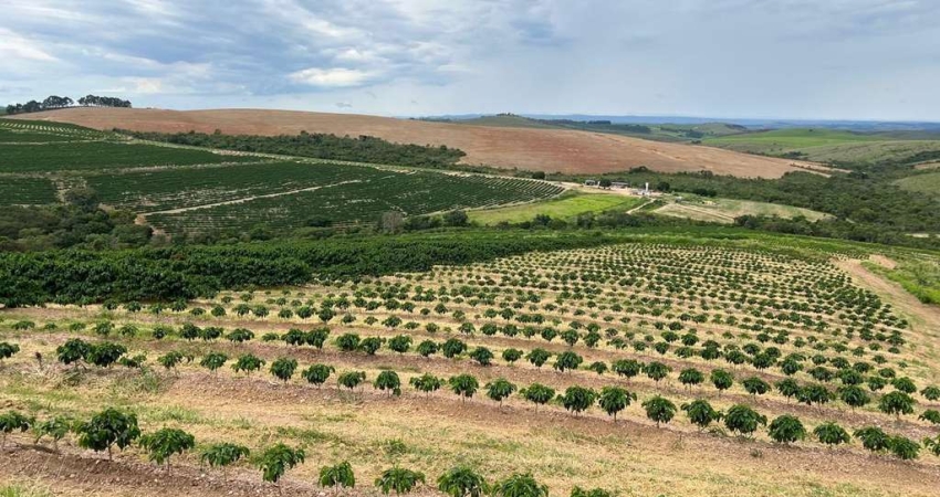 Fazenda de café, na região de  Capitólio  207 hectares -Altitude acima de 900 , com 400 mil pés de café toda mecanizada, sendo 280 mil pés de lavouras com 2 anos ,120 mil pés  lavouras 3 anos 1/5 em p