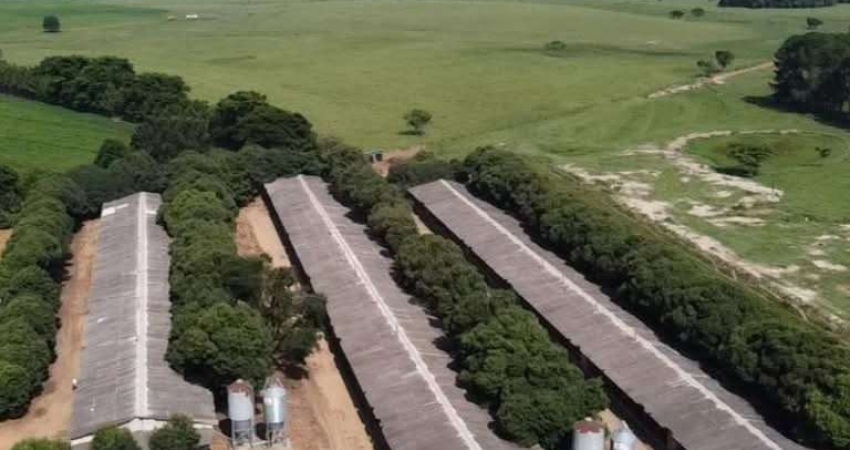 *EXCELENTE SÍTIO COM GRANJA A VENDA EM TATUÍ - SP* ??   Aptidão: Granja de Frango e Gado de Corte   Área Total: 16,52 Hectares ou 6,82 Alqueires   Aproveitamento: 90%   3 Aviáriosde 12x135 Em Funciona