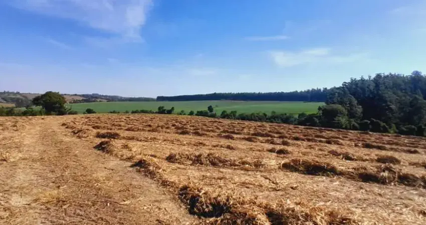Sitio 5 alqueire em boituva a 4 km da cidade ,Rio no  fundo  excelente topografia  foi plantado cana  valor 2.000,000,00