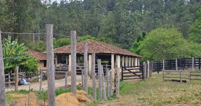 *fazenda com eucalipto a venda - vale do paraíba - são paulo* ?? área total: 216 alqueires ou 523 hectares pastagem: 27 alqueires ou 65,4 hectares em eucalipto: 103,8 alqueires ou 251,29 hectare